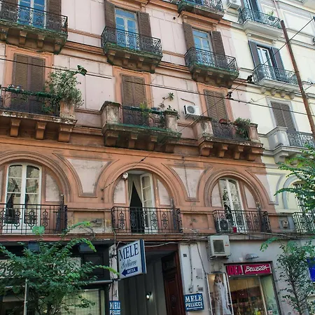 Gasthuis Napoli's Gold 3*